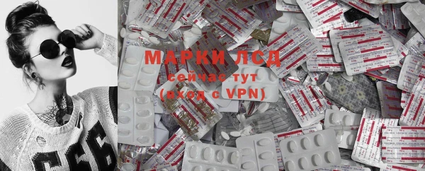прущие крисы Магас