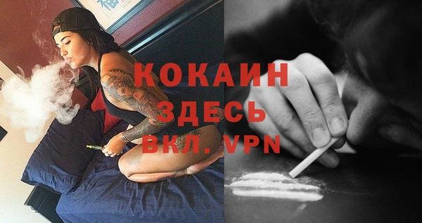 прущие крисы Магас