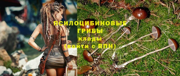 прущие крисы Магас