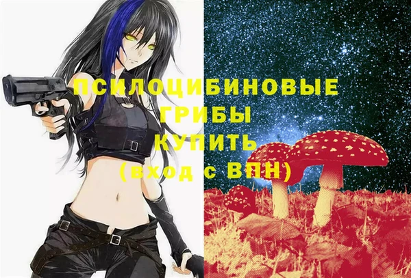 прущие крисы Магас